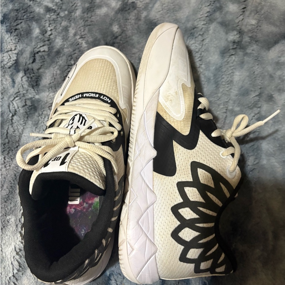 Melo 1